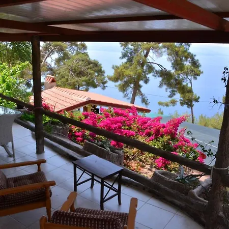 Teras Tepe Apart Мугла